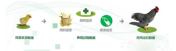 廠(chǎng).jpg